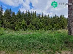 Prodej lesa, Počátky - Heřmaneč, 72939 m2
