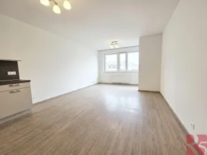 Pronájem bytu 2+kk, Praha - Žižkov, V zahrádkách, 55 m2