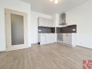 Pronájem bytu 2+kk, Praha - Žižkov, V zahrádkách, 55 m2
