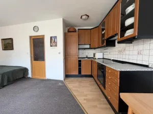 Prodej bytu 1+kk, Praha - Vysočany, bratří Dohalských, 40 m2