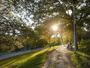 Prodej bytu 2+kk, Praha - Nusle, Bělehradská, 54 m2