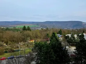 Prodej bytu 3+1, Brno, Brechtova, 74 m2