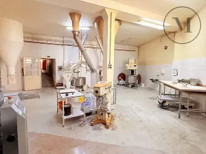 Prodej výrobních prostor, Netolice, Bavorovská, 650 m2