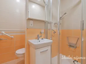 Pronájem bytu 1+kk, Brno - Žabovřesky, Voroněžská, 26 m2