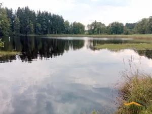 Prodej rybníku, Horní Radouň - Starý Bozděchov, 69474 m2