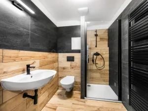 Pronájem bytu 2+kk, Plzeň, Poděbradova, 47 m2