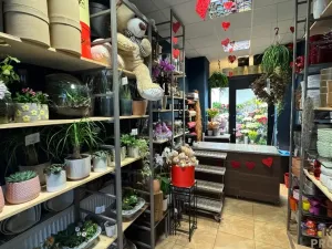 Pronájem obchodního prostoru, Brno - Brno-město, 26 m2