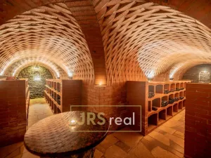 Prodej rodinného domu, Čejkovice, 468 m2