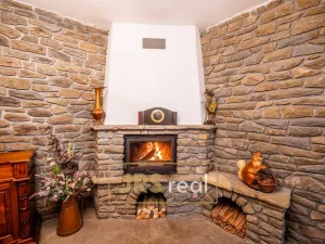 Prodej ubytování, Čejkovice, 468 m2