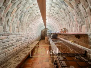 Prodej ubytování, Čejkovice, 468 m2