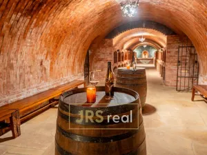 Prodej ubytování, Čejkovice, 468 m2