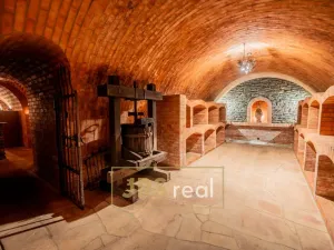 Prodej ubytování, Čejkovice, 468 m2