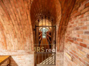 Prodej ubytování, Čejkovice, 468 m2