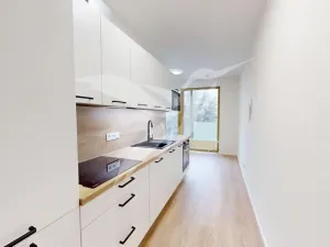 Pronájem bytu 1+kk, Plzeň, Zahradní, 35 m2