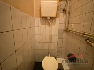 Pronájem obchodního prostoru, Opava - Předměstí, Hauerova, 54 m2