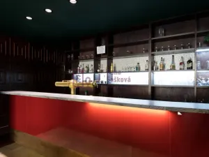 Pronájem restaurace, Jindřichův Hradec - Jindřichův Hradec I, nám. Míru, 160 m2