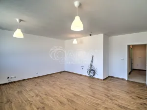 Pronájem bytu 2+kk, Plzeň - Jižní Předměstí, Kardinála Berana, 54 m2