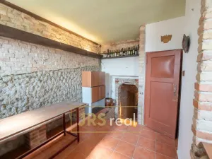 Prodej - jiné, Bořetice, 90 m2