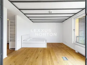 Pronájem bytu 6+kk a větší, Praha - Bubeneč, Mlýnská, 325 m2