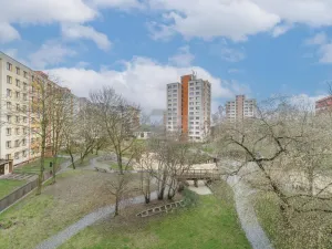 Prodej bytu 2+1, Ostrava - Moravská Ostrava, Lechowiczova, 55 m2