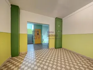 Pronájem bytu 4+1, Jindřichův Hradec - Jindřichův Hradec V, Kosmonautů, 87 m2