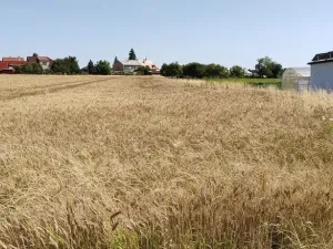 Prodej pozemku pro bydlení, Beňov, 5182 m2