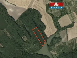 Prodej lesa, Klobouky u Brna, 11688 m2