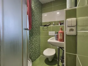 Pronájem bytu 1+kk, České Budějovice, Puklicova, 21 m2