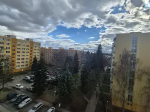 Pronájem bytu 1+kk, České Budějovice, Puklicova, 21 m2