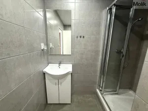Pronájem bytu 1+1, Litvínov - Horní Litvínov, Tylova, 37 m2