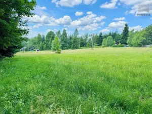 Prodej chalupy, Sněžné, 200 m2