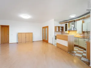 Prodej bytu 4+kk, Brno, 167 m2