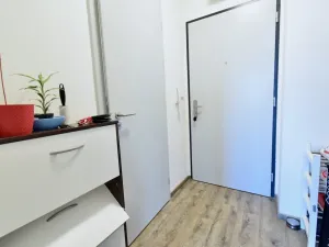 Pronájem bytu 1+kk, Brno - Černá Pole, třída Generála Píky, 30 m2