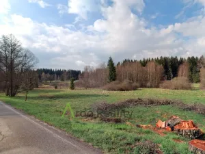 Prodej louky, Přední Výtoň, 13899 m2