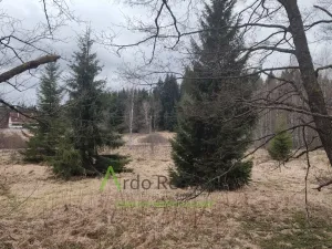 Prodej louky, Přední Výtoň, 13899 m2