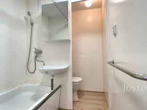 Pronájem bytu 1+1, Písek, třída Přátelství, 36 m2