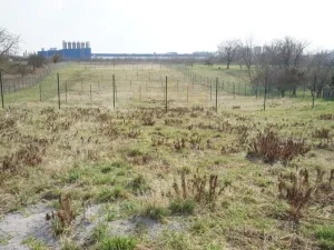 Pronájem zahrady, Jaroměř, Slovenská, 384 m2