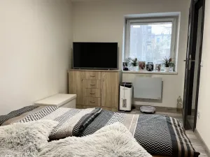Pronájem bytu 3+1, Opava - Předměstí, Alšova, 60 m2