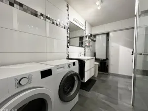 Pronájem bytu 3+1, Opava - Předměstí, Alšova, 60 m2