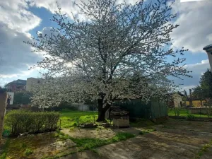 Prodej rodinného domu, Praha - Sedlec, Suchdolská, 100 m2