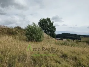 Prodej pozemku pro bydlení, Horní Planá, 690 m2