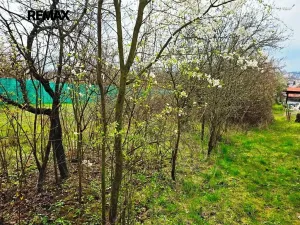 Prodej zahrady, Brno, 433 m2