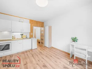 Pronájem bytu 1+kk, Plzeň - Doubravka, Na Dlouhých, 19 m2