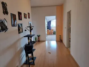 Pronájem bytu 4+kk, Kladno, Komenského, 120 m2