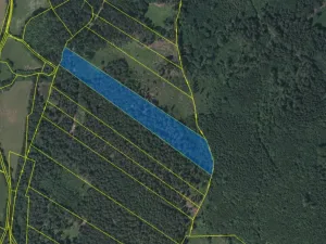 Prodej lesa, Petrovice u Sušice - Trsice, 18883 m2