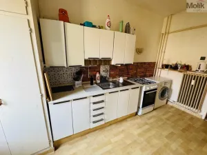 Prodej bytu 2+1, Most, Josefa Skupy, 55 m2