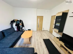 Prodej bytu 1+1, Most, Josefa Skupy, 37 m2