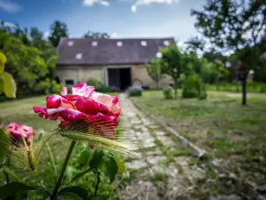 Pronájem rodinného domu, Hajany, 158 m2