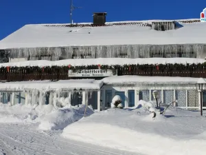 Prodej ubytování, Železná Ruda - Alžbětín, 2455 m2