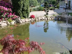 Prodej ubytování, Železná Ruda - Alžbětín, 2455 m2